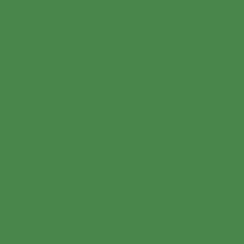 Walimex pro paper background 1,35x10m, green chroma 22807 walimex pro W-22807