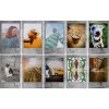 Fujifilm instax mini Film stone grey frame - 10 sheets FujiFilm D-692582