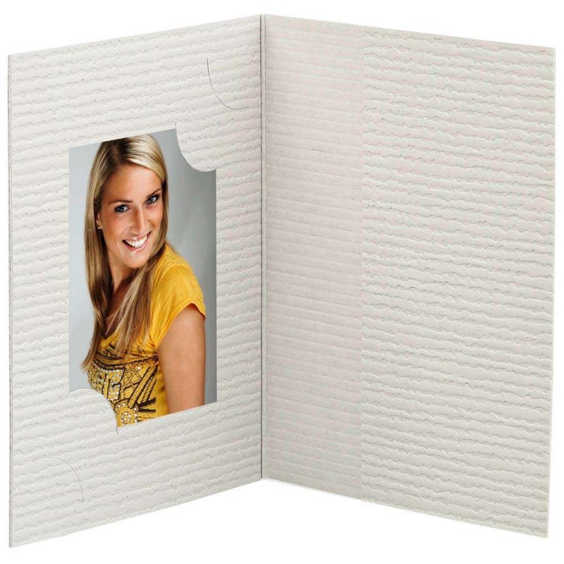 Mapa, etui, zgibanka, album za foto dokumente, siva,  3 velikosti, paket 100 kom Daiber D-489011