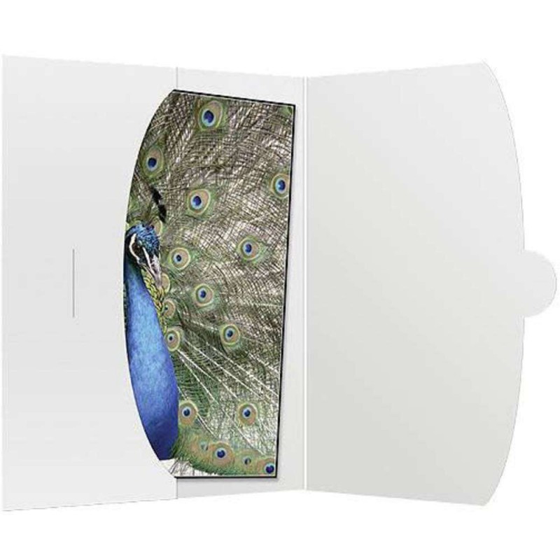 Mapa, kuverta za fotografije 15x20 cm, bela (D-234353-1)