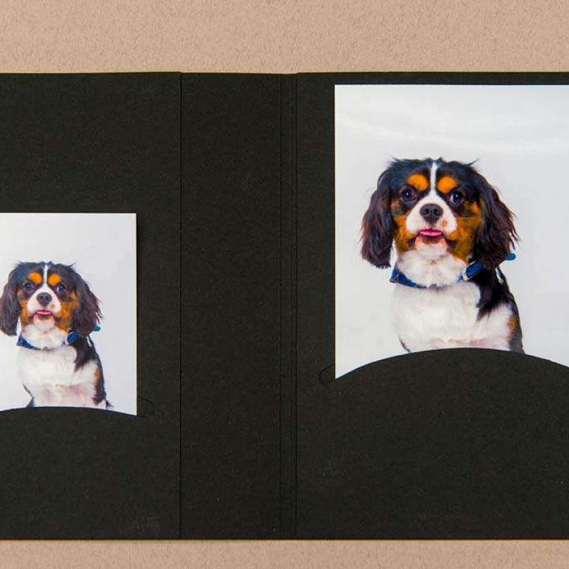 Daiber portrait folders with CD archieve or photos 10x15 cm, black Daiber D-495166-1
