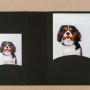 Daiber portrait folders with CD archieve or photos 10x15 cm, black